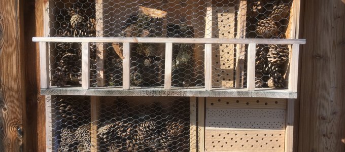 Wildbienen-Nisthilfe Leukerfeld